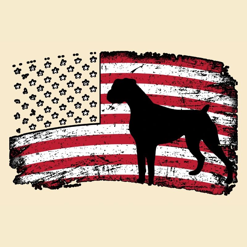 Boxer USA