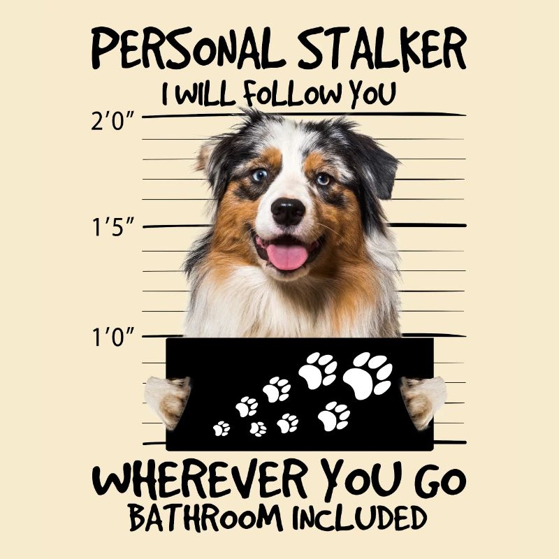 Australian Shepherd