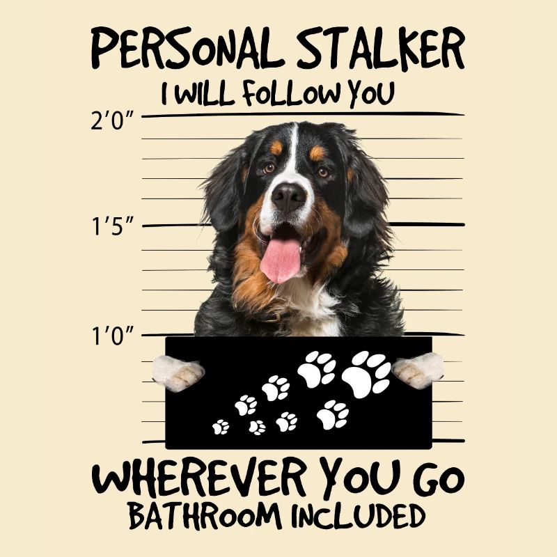 Berner Sennenhund