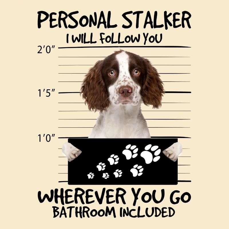 English Springer Spaniel