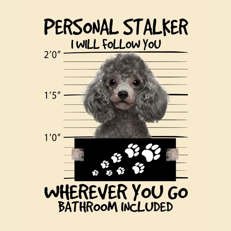 poodle