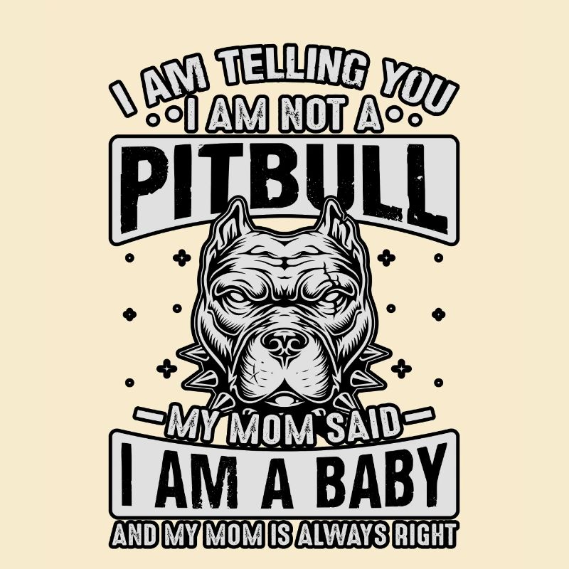 Je te dis pitbull ma mère a dit que je suis un bébé