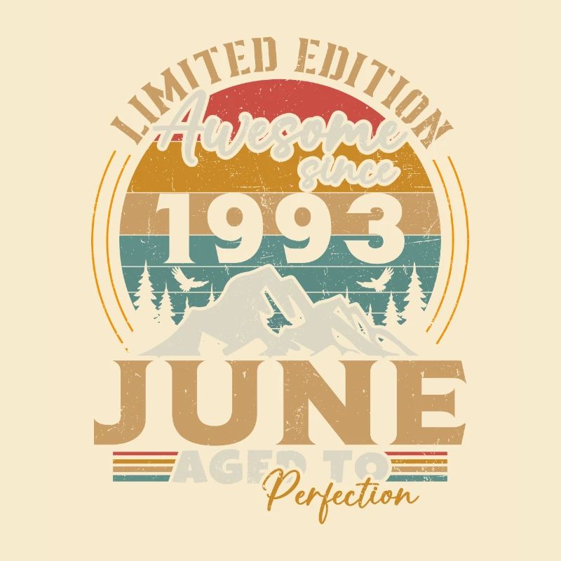 Vintage Retro Juni 1993 Geburtstagsgeschenk
