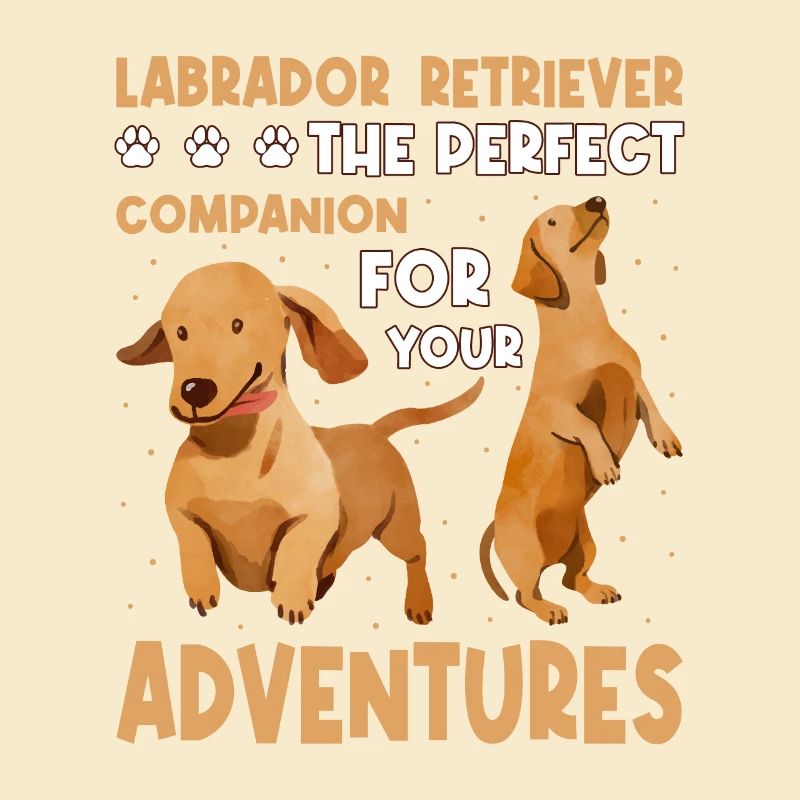 Labrador