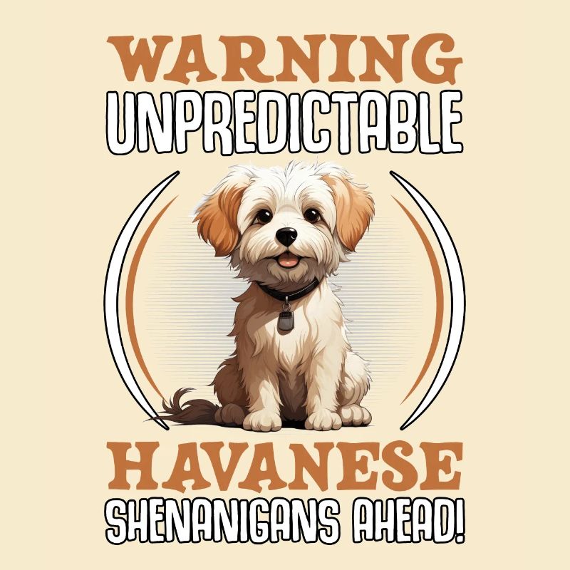 Warning unpredictable Havanese Shenanigans ahead