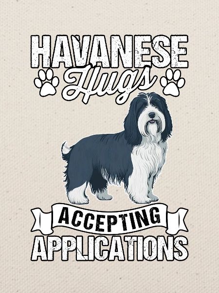 Havanese Hugs Accepting Applications