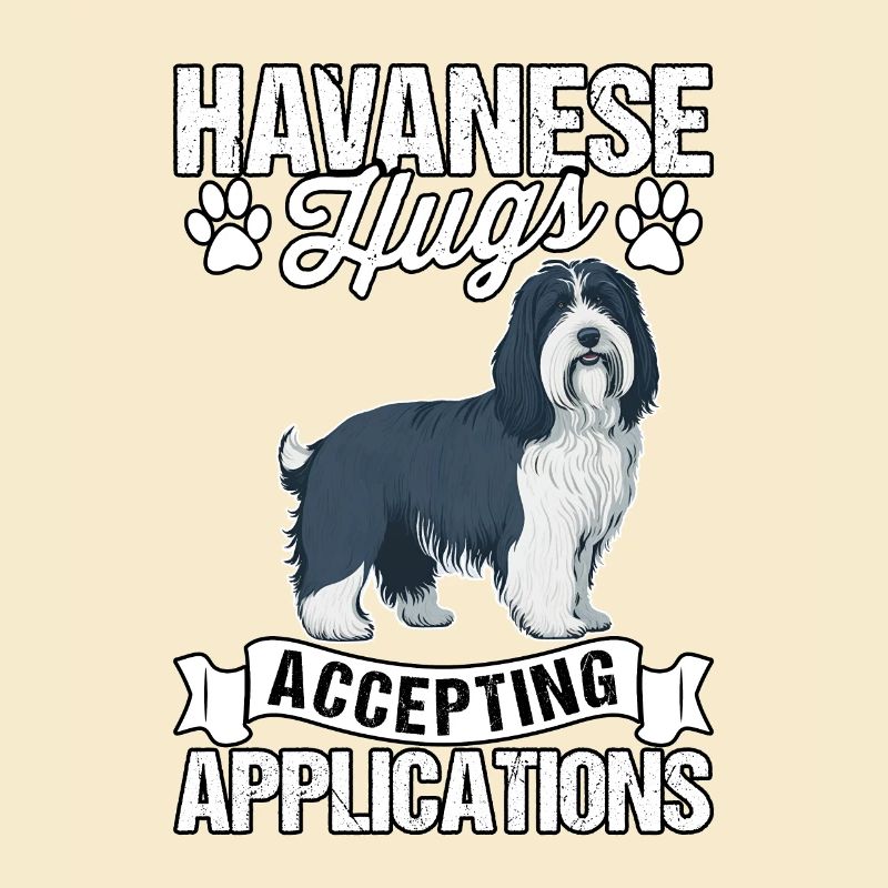 Havanese Hugs Accepting Applications