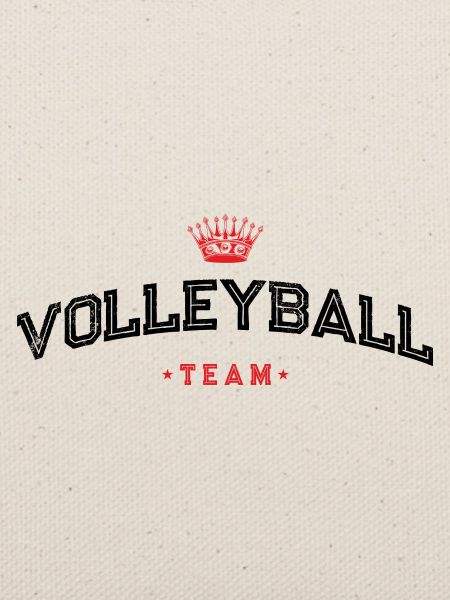Volleyball Team