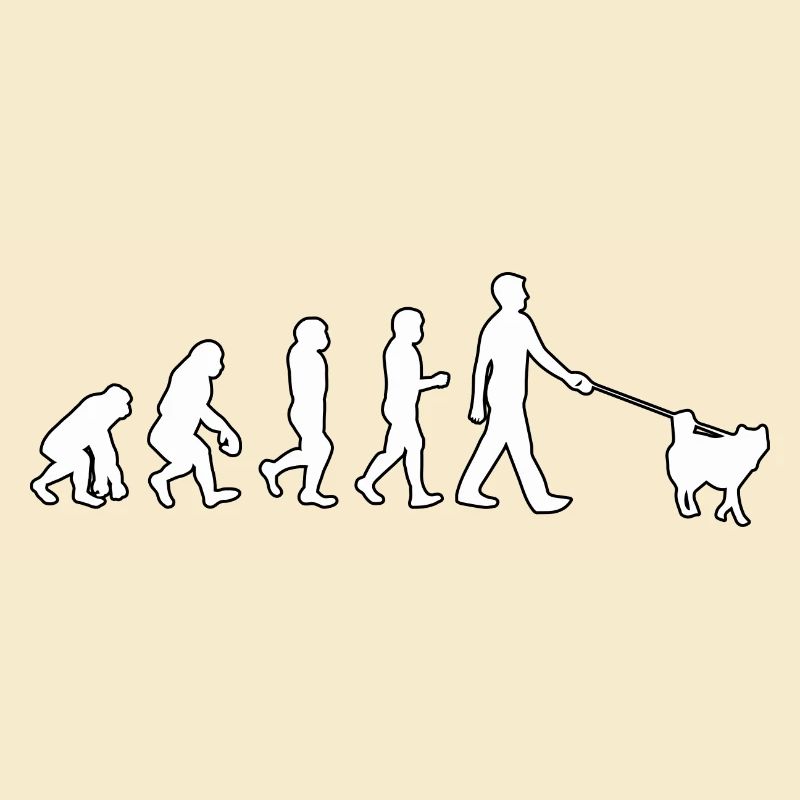 Husky Evolution