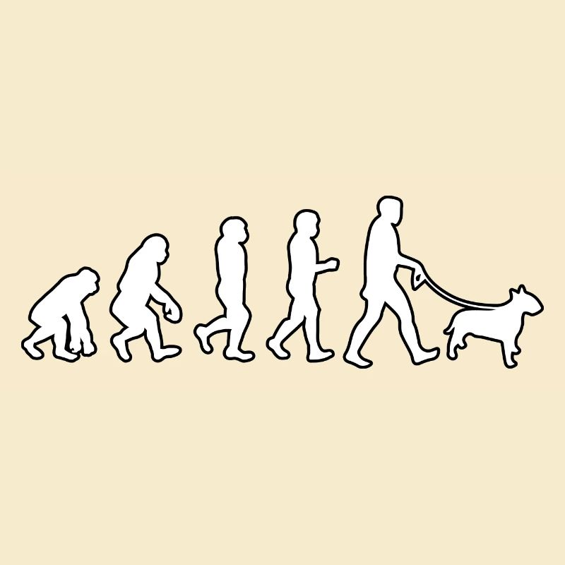 EVOLUTION Labrador