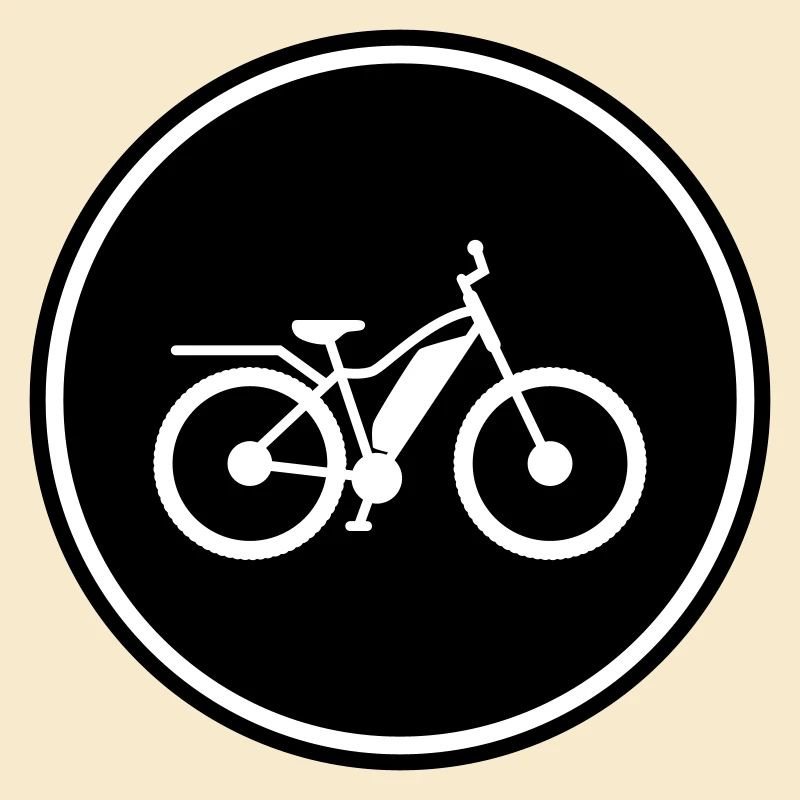 ebike fahrrad