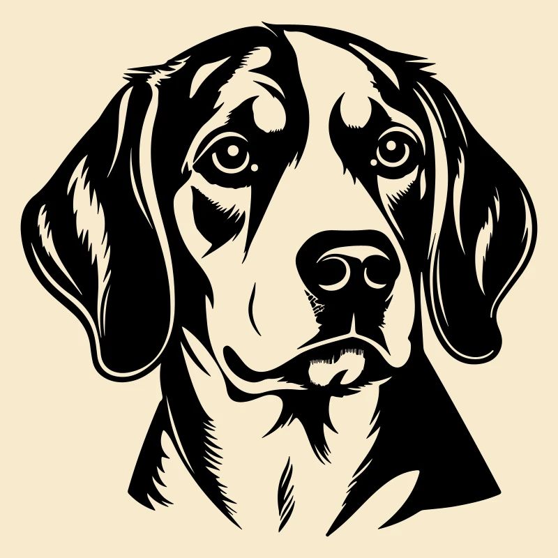 Beagle Hund Kopf