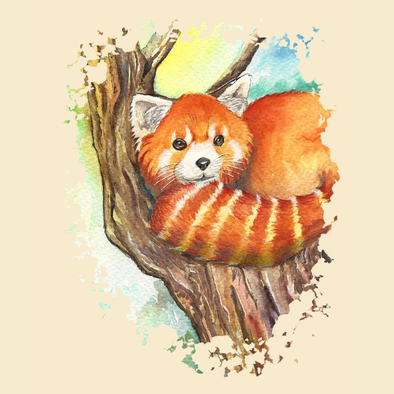 Red Panda
