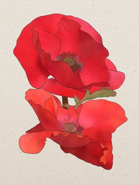 Mohn