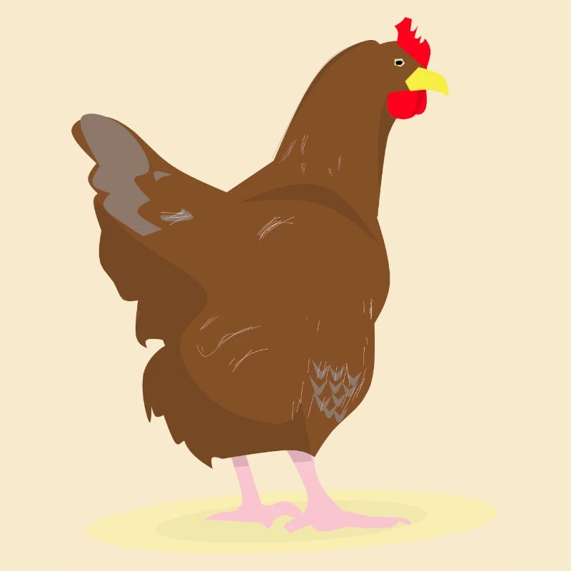 HUHN - HAHN - EIER