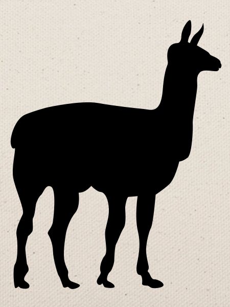 lama