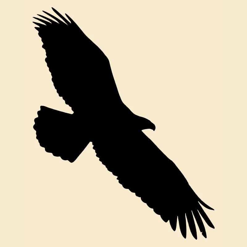 adler