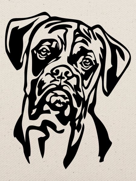 Boxer Kopf