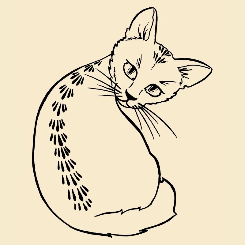 Mitze Katze
