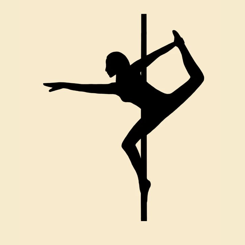 Pole Dance Pole