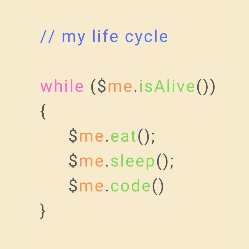 my life cycle dev