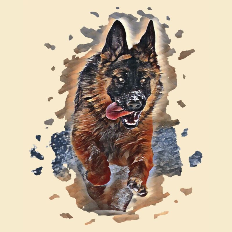 Deutscher Schäferhund Kunst