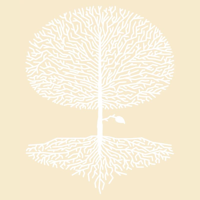 Deciduous Tree Crown Forest Oak Beech Nature Linden Branches