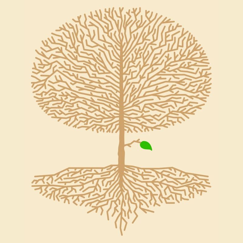 Laubbaum Krone Wald Eiche Buche Natur Ast Hoffnung