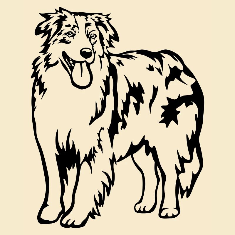 Australian Shepherd