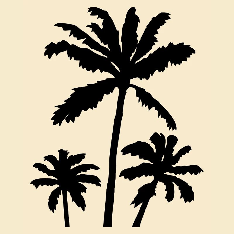 Palm Silhouette Sunset