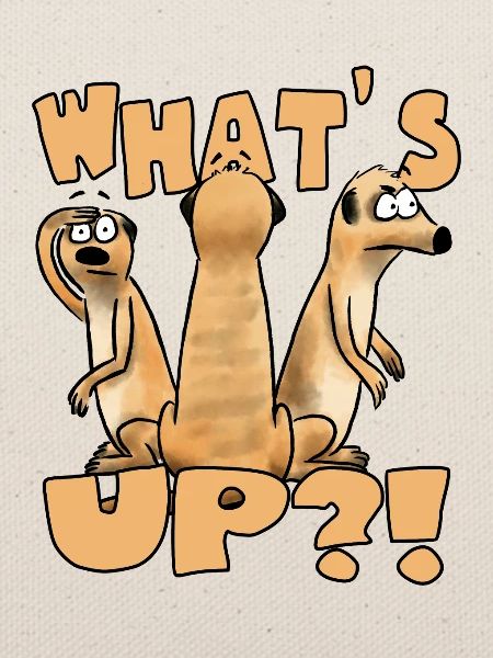 What´s up?!