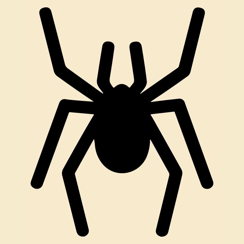 Spinne