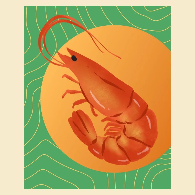 Maximalist Shrimp
