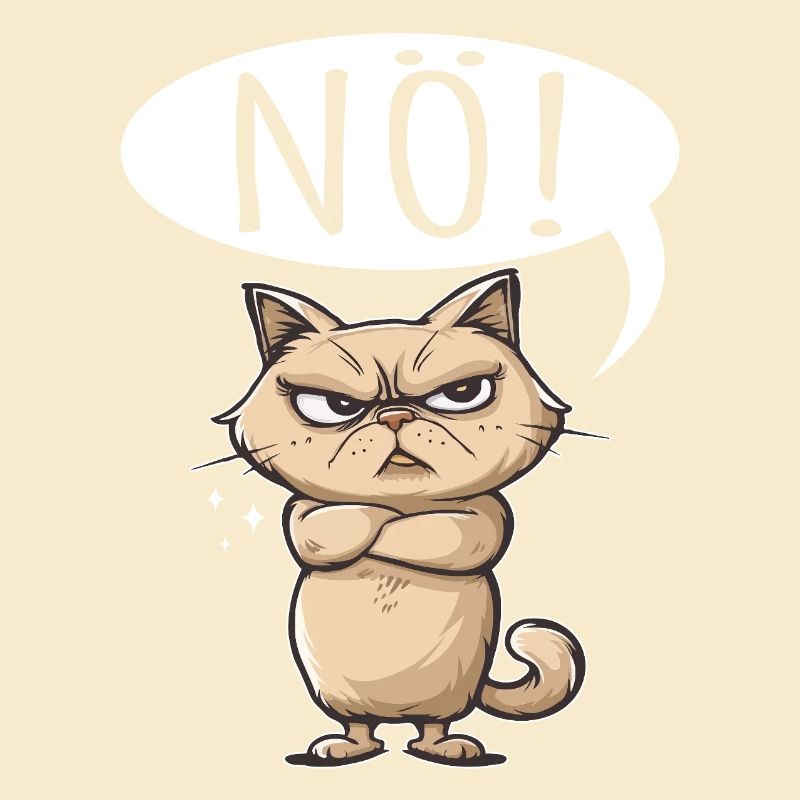non facile non non chat chat drôle de dicton
