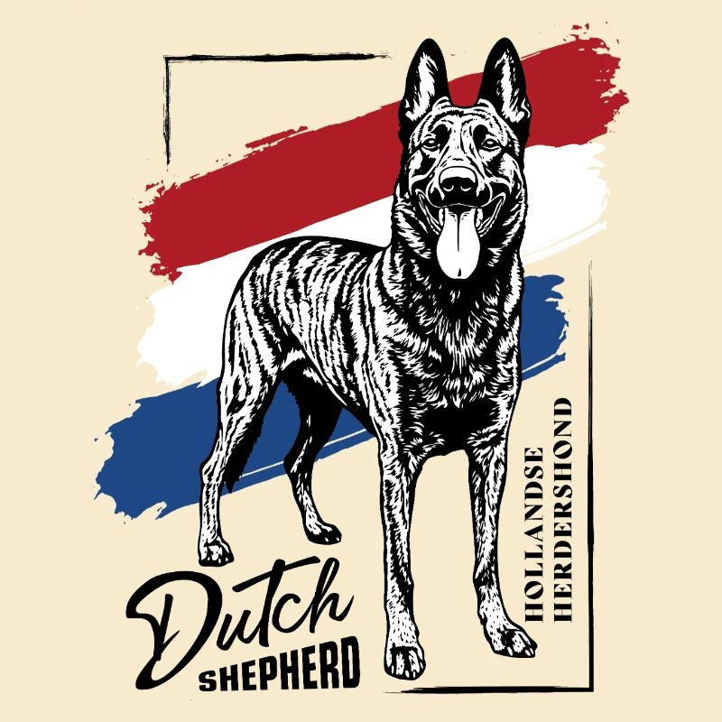 Dutch Shepherd – Dutchie