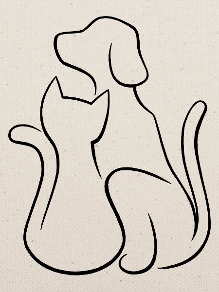 Hund und Katze Tierliebe