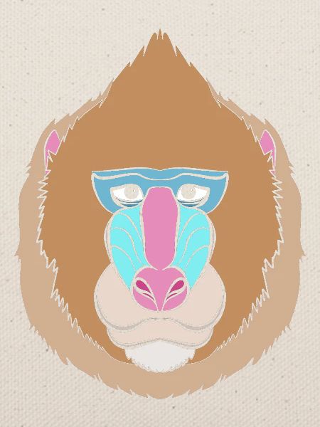 Baboon Pavian Primat Affe Affen
