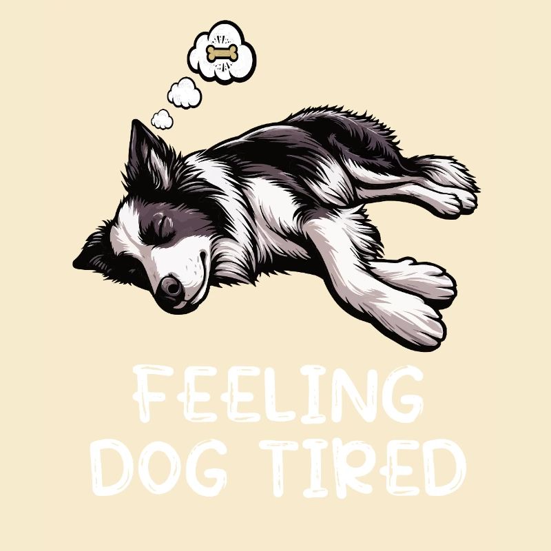 Feeling Dog Tired Border Collie Collie Owner