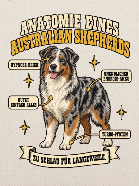 Anatomie eines Australian Shepherds