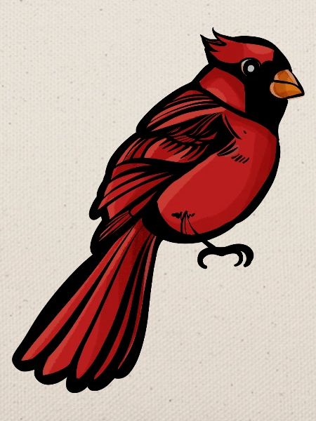 Crimson Cardinal auf Schwarz