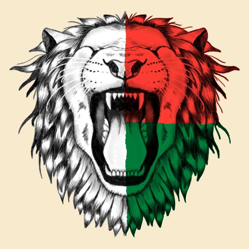 Madagaskar