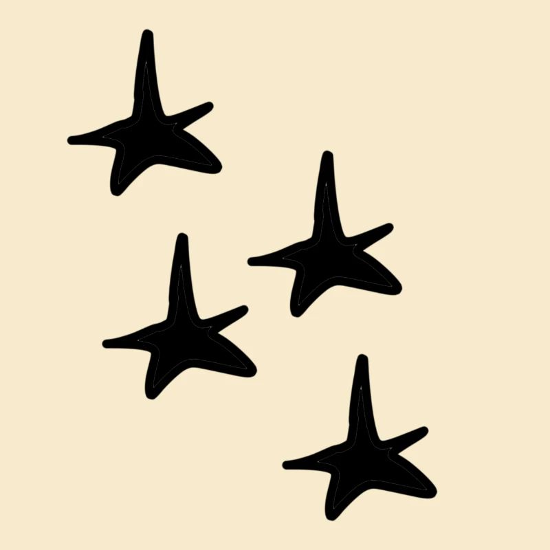 Four Star Star Shape Shape Symbol