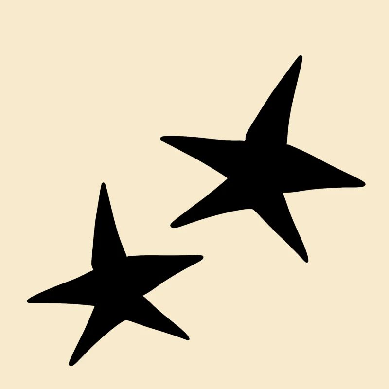 Star Shape Two Stars Icon