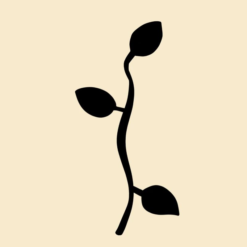 Leaf Leaves Line Nature Branch