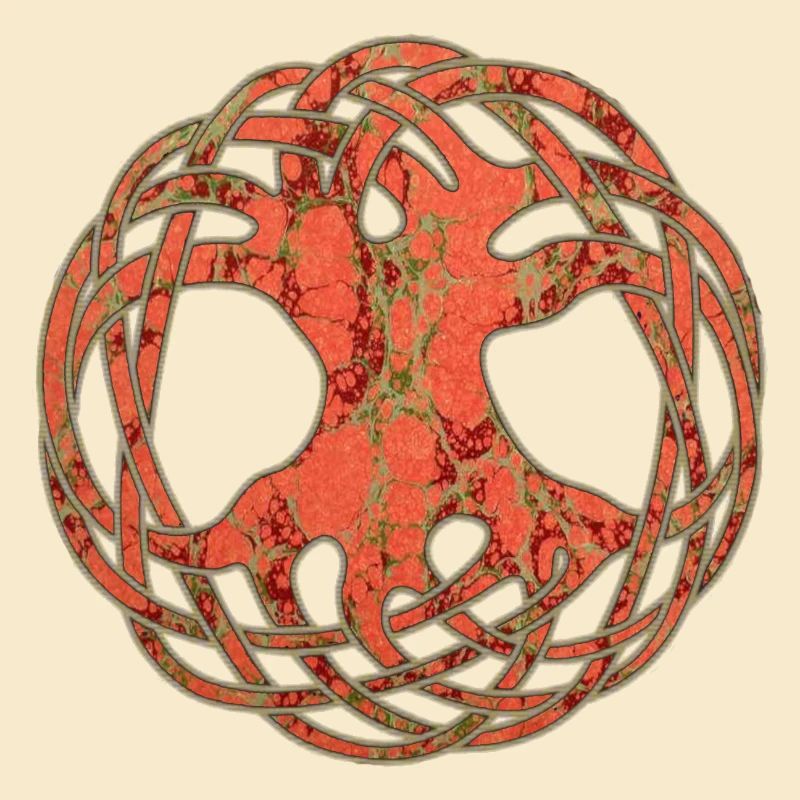 Celtic Arborvitae E 213