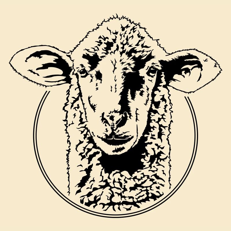 SCHAF Schafe Tiere Schäfer Schafkopf Wilsigns