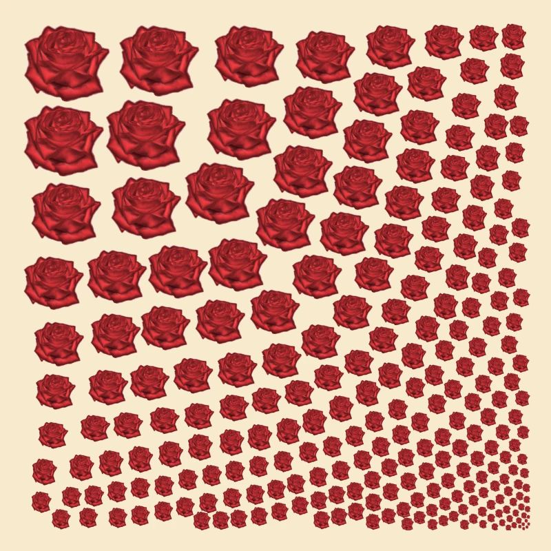Rosen rot Geschenkidee