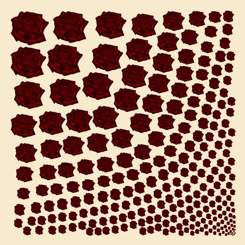Rosen rot Geschenkidee