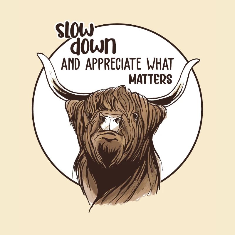 Slow down Vache Écossaise