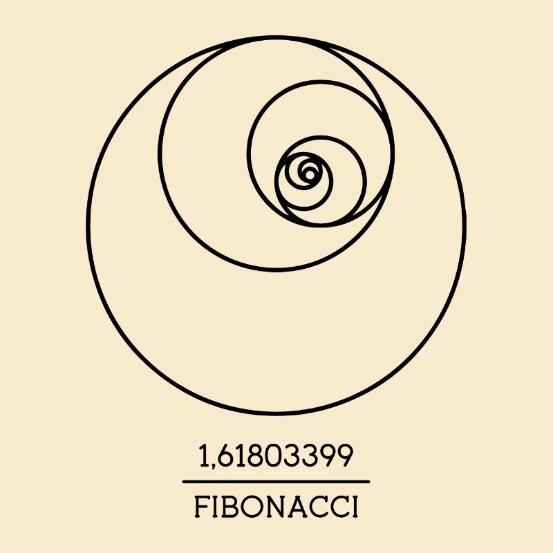 Fibonacci Spiral Follow Math Teacher Numbers